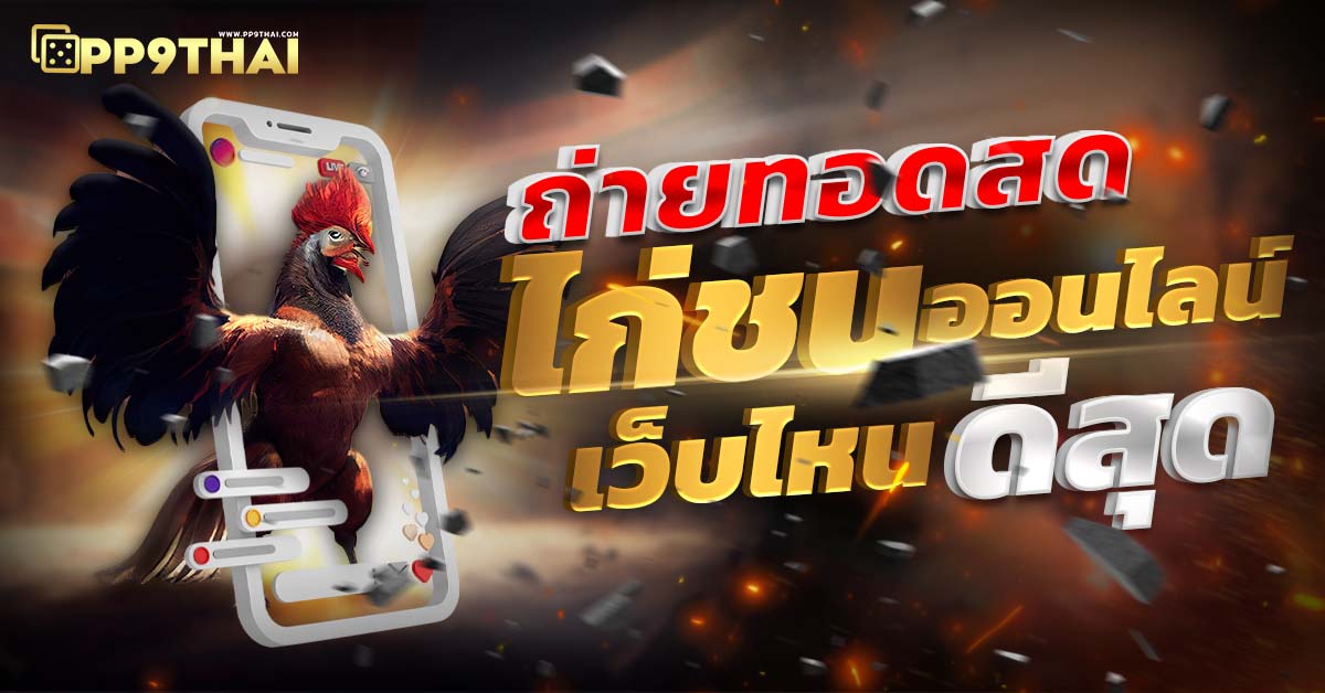 myplay สล็อต 🎰 เกมคาสิโนออนไลน์ที่ดีที่สุดสนุกได้ทุกที่ทุกเวลา